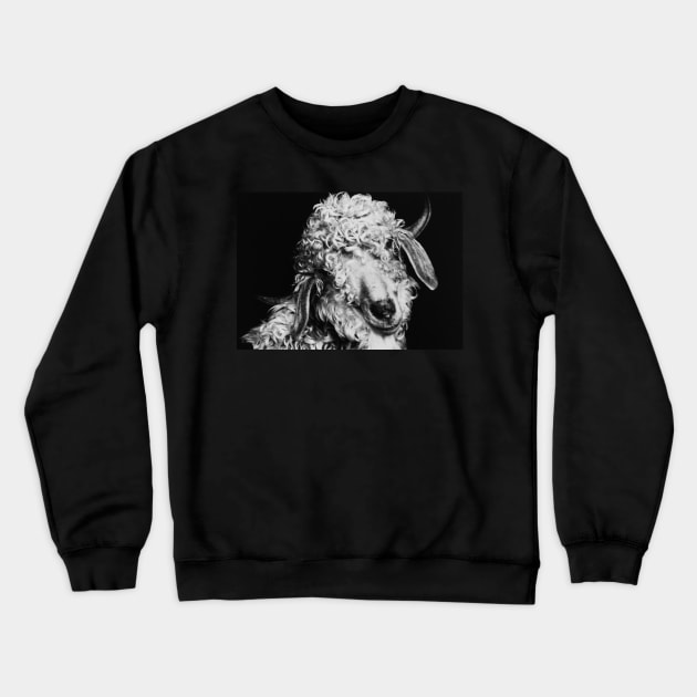 Curly Crewneck Sweatshirt by LaurieMinor